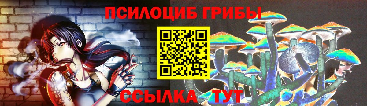 Псилоцибиновые грибы Psilocybine cubensis Гудермес