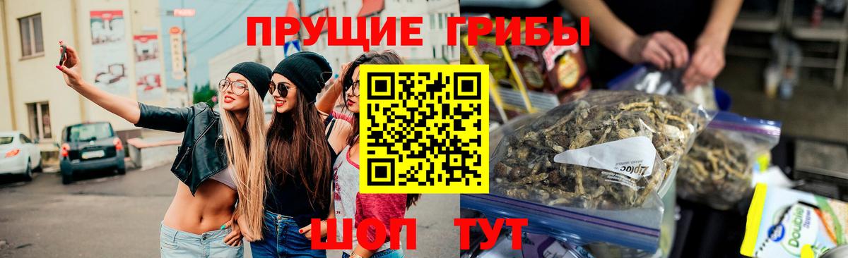 Псилоцибиновые грибы Cubensis  Вход с VPN  Гудермес 